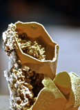 Mineral show, Expominer 2011