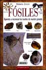 Fósiles: aprende a reconocer las huellas de nuestro pasado