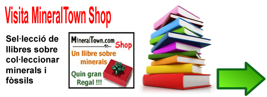 Mineraltown Shop