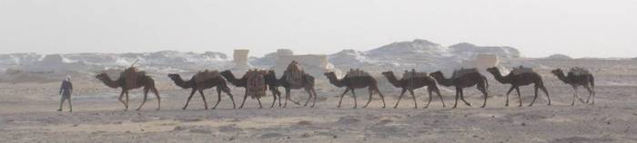 White desert landscape