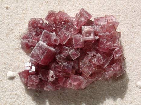 Red halite