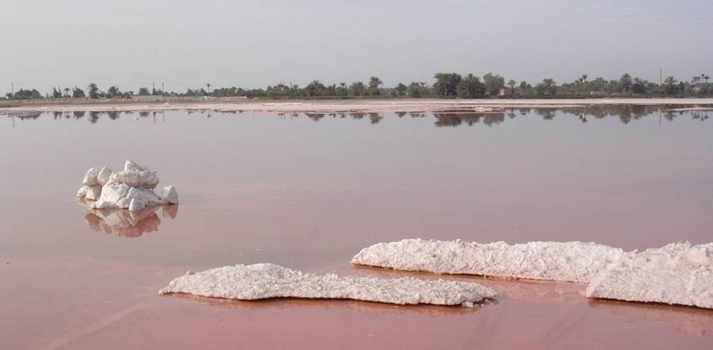 Brine lake in Natrun depression