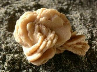 Barite rose