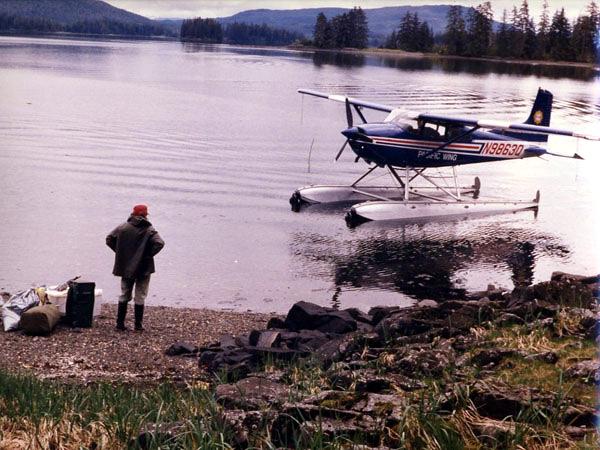 Alaska plane