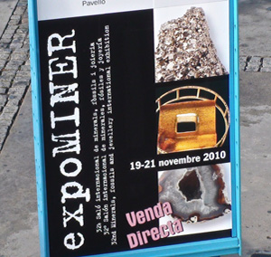 Expominer 2010 homepage