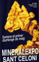 Mineral show, MineralExpo 2009