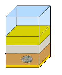 fossil formation step 3