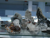 Blenda Acaremalada (Aliva - Santander)