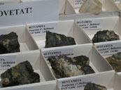 Bustamita (Bellmunt del Priorat)