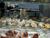 Peces d'argent i eritrita