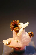 PINK QUARTZ with WHITE QUARTZ and EOSFORITE