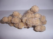 selenite