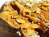 Collecting wulfenite in Austria