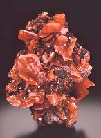 Red wulfenite