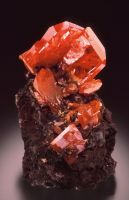 Red wulfenite