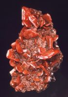 Red wulfenite