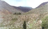 Formation exceptional richness in the mineral variety Formation exceptional richness in the mineral variety