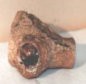 Petrified wood