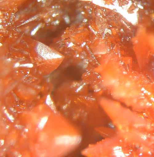 Descloizite crystals