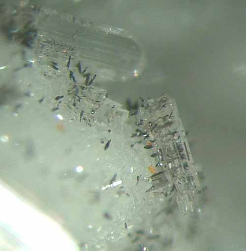 microcrystals of plattnerite microcrystals of plattnerite