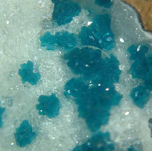 rosasite microcrystals rosasite microcrystals