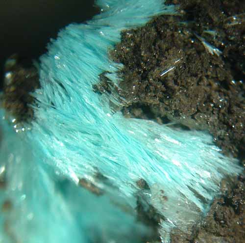Aurichalcite Aurichalcite