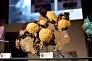 mineral11.jpg