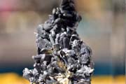 mineral59.jpg
