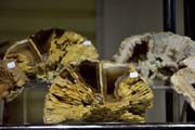 mineral9.jpg