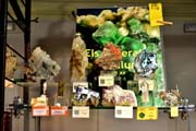 minerales2.jpg